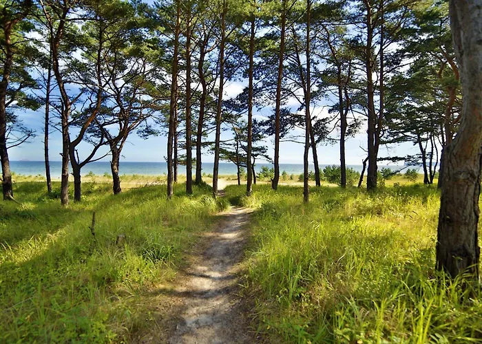 公寓 Meerlounge 15 Im Haus Duene 7 Prora 宾茨